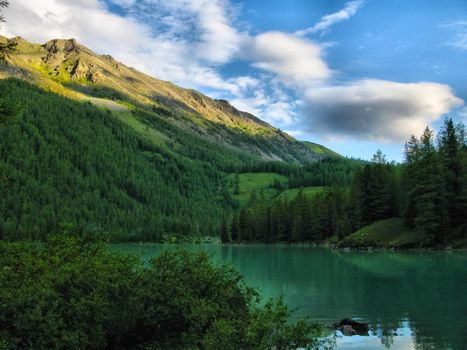 Nature is altai. Mountain landscape, forests and reservoirs of the altai.
