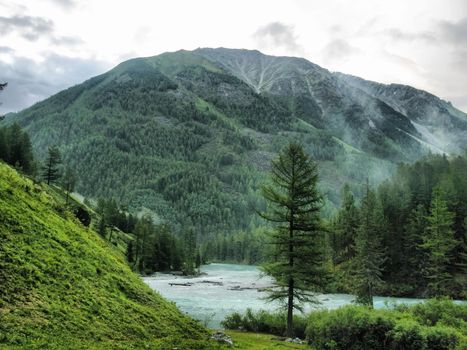 Nature is altai. Mountain landscape, forests and reservoirs of the altai.