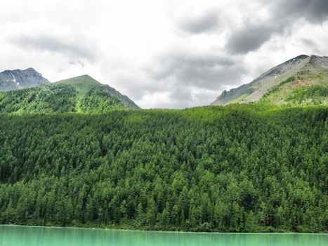 Nature is altai. Mountain landscape, forests and reservoirs of the altai.