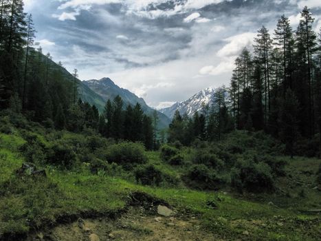 Nature is altai. Mountain landscape, forests and reservoirs of the altai.