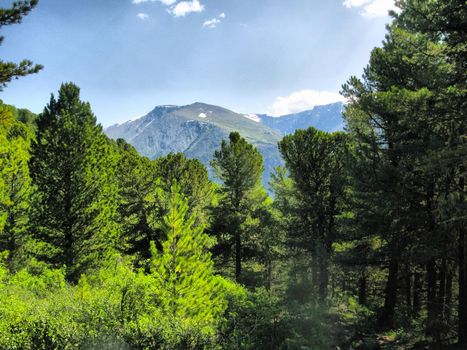 Nature is altai. Mountain landscape, forests and reservoirs of the altai.