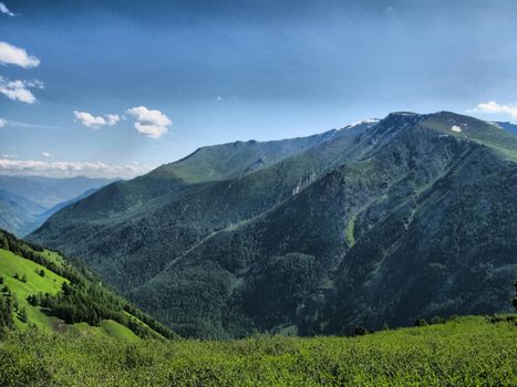 Nature is altai. Mountain landscape, forests and reservoirs of the altai.