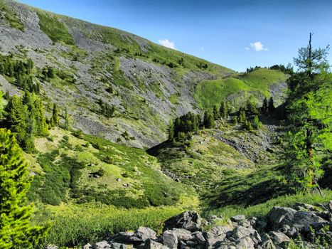 Nature is altai. Mountain landscape, forests and reservoirs of the altai.