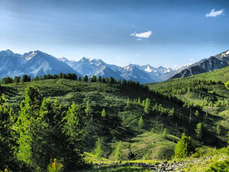 Nature is altai. Mountain landscape, forests and reservoirs of the altai.