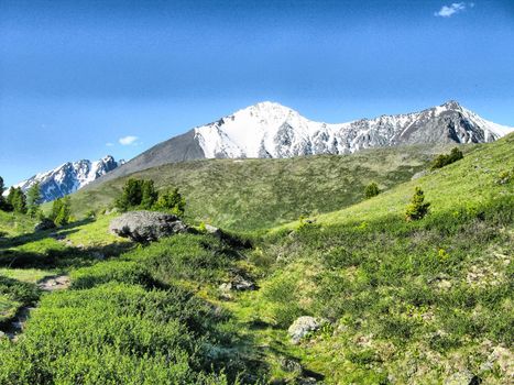 Nature is altai. Mountain landscape, forests and reservoirs of the altai.