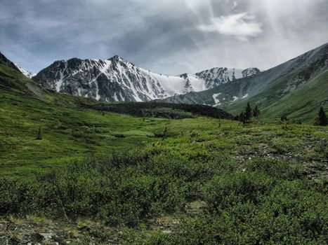 Nature is altai. Mountain landscape, forests and reservoirs of the altai.