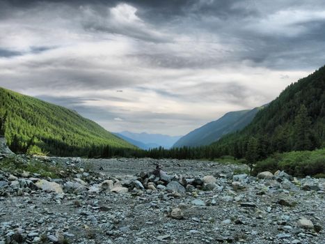 Nature is altai. Mountain landscape, forests and reservoirs of the altai.