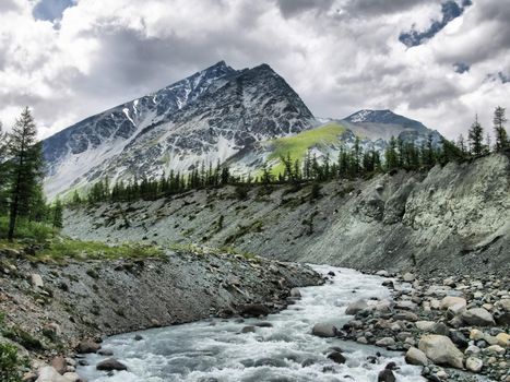 Nature is altai. Mountain landscape, forests and reservoirs of the altai.