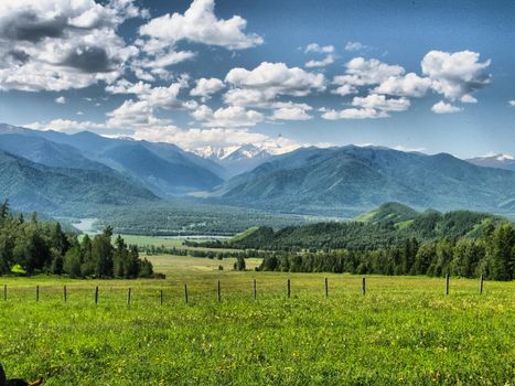 Nature is altai. Mountain landscape, forests and reservoirs of the altai.