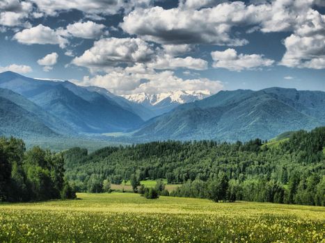 Nature is altai. Mountain landscape, forests and reservoirs of the altai.