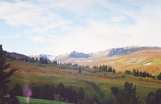 Autumn nature of the altai, forests and mountains.