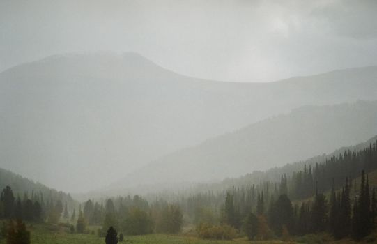 Autumn nature of the altai, forests and mountains.