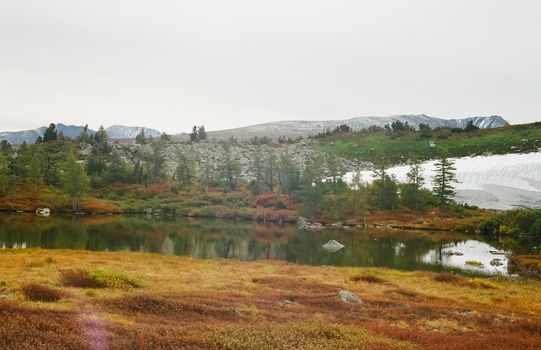 Autumn nature of the altai, forests and mountains.