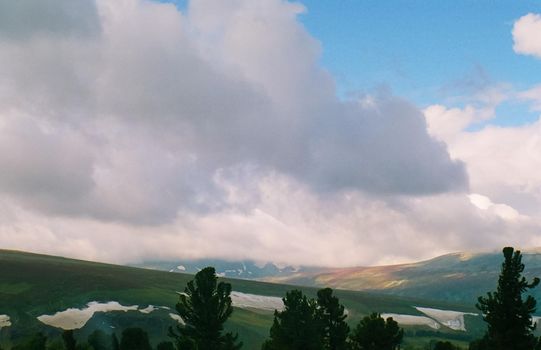 Landscape of the altai forests. Coniferous forests on the Altai.