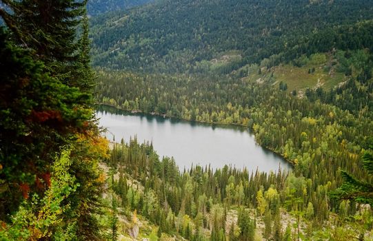 The river is among the mountains and forests of the Altai. Nature of the Altai