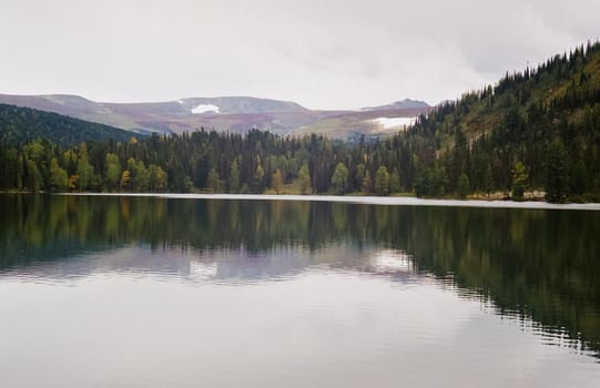 The river is among the mountains and forests of the Altai. Nature of the Altai