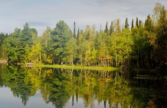 The river is among the mountains and forests of the Altai. Nature of the Altai