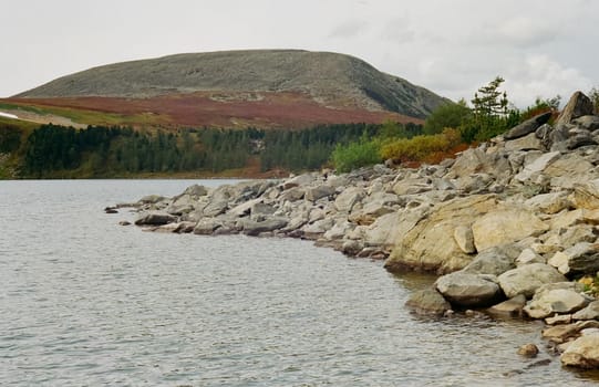 The river is among the mountains and forests of the Altai. Nature of the Altai