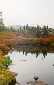 The river is among the mountains and forests of the Altai. Nature of the Altai