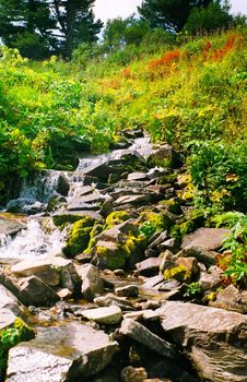 A small mountain river np Altai. Nature is altai.