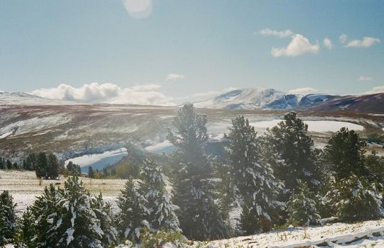 Winter Altai, mountains and forests in the snow. Winter came to the Altai and snow fell.