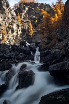 The mountain river flows over the rocks. The rivers are altai. Nature is altai.