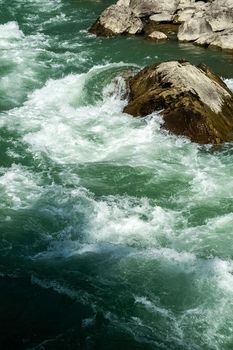 The mountain river flows over the rocks. The rivers are altai. Nature is altai.