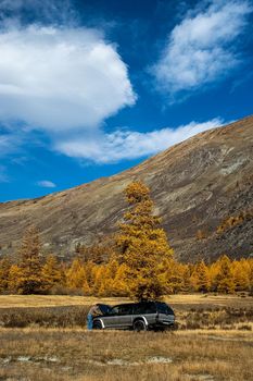 SUV under a tree in the Altai Mountains. Travel by car.