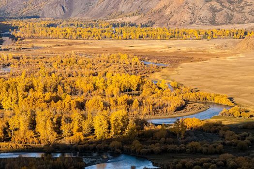 The altai mountains. The landscape of nature on the Altai mountains and in the gorges between the mountains.