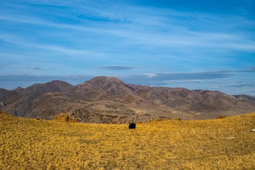 The altai mountains. The landscape of nature on the Altai mountains and in the gorges between the mountains.