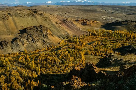 The altai mountains. The landscape of nature on the Altai mountains and in the gorges between the mountains.