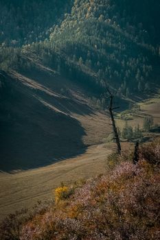 The altai mountains. The landscape of nature on the Altai mountains and in the gorges between the mountains.