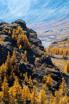 The altai mountains. The landscape of nature on the Altai mountains and in the gorges between the mountains.