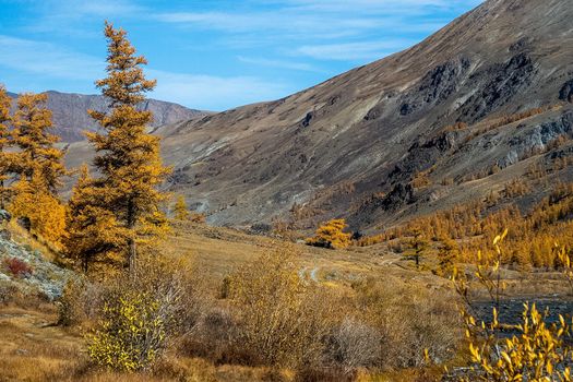 The altai mountains. The landscape of nature on the Altai mountains and in the gorges between the mountains.