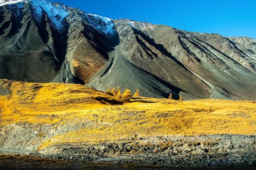 The altai mountains. The landscape of nature on the Altai mountains and in the gorges between the mountains.