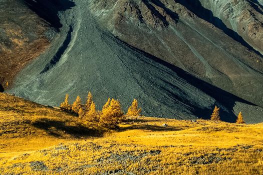 The altai mountains. The landscape of nature on the Altai mountains and in the gorges between the mountains.