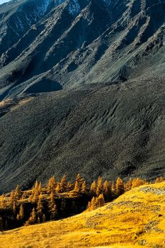 The altai mountains. The landscape of nature on the Altai mountains and in the gorges between the mountains.