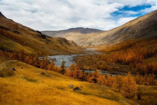 The altai mountains. The landscape of nature on the Altai mountains and in the gorges between the mountains.