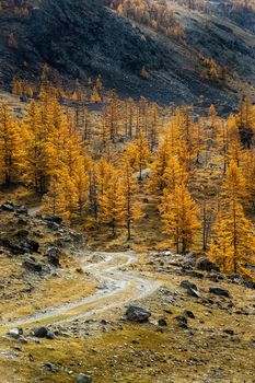 The altai mountains. The landscape of nature on the Altai mountains and in the gorges between the mountains.