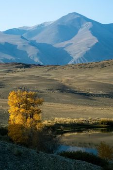 The altai mountains. The landscape of nature on the Altai mountains and in the gorges between the mountains.