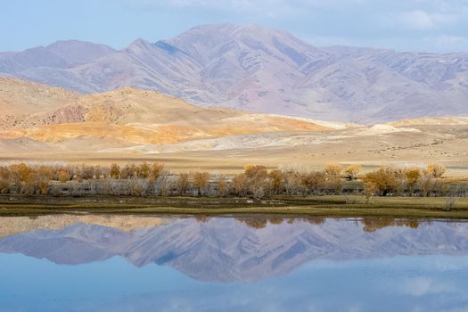 The altai mountains. The landscape of nature on the Altai mountains and in the gorges between the mountains.