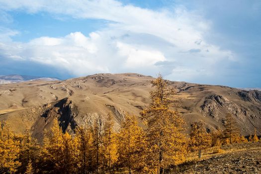 The altai mountains. The landscape of nature on the Altai mountains and in the gorges between the mountains.