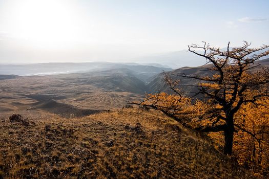 The altai mountains. The landscape of nature on the Altai mountains and in the gorges between the mountains.