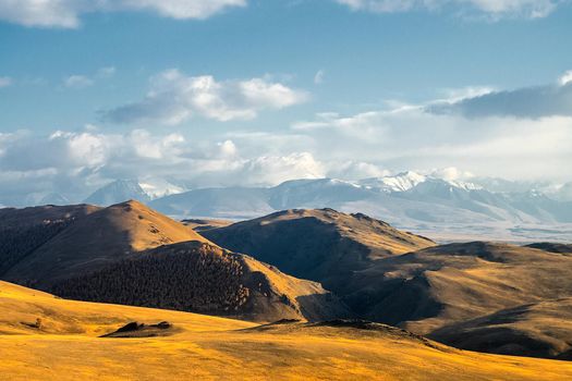 The altai mountains. The landscape of nature on the Altai mountains and in the gorges between the mountains.