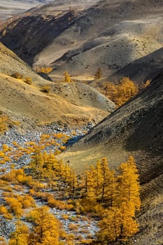 The altai mountains. The landscape of nature on the Altai mountains and in the gorges between the mountains.