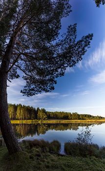 Lakes in the autumn forest. Forest autumn landscape, beautiful nature.