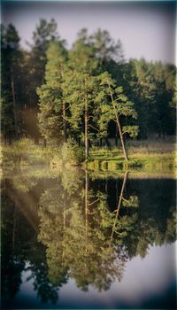 Lakes in the autumn forest. Forest autumn landscape, beautiful nature.