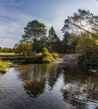 Lakes in the autumn forest. Forest autumn landscape, beautiful nature.