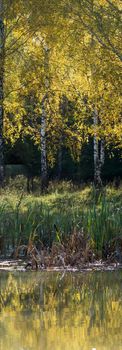 Lakes in the autumn forest. Forest autumn landscape, beautiful nature.