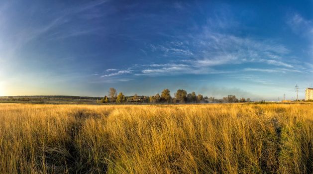 Nature landscape is forest and grass. Beautiful landscape.